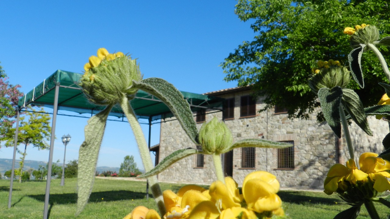 Photo of Outdoor in Loreto