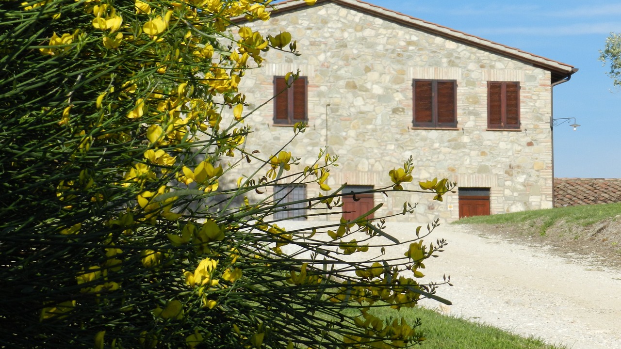 Photo of Outdoor in Loreto