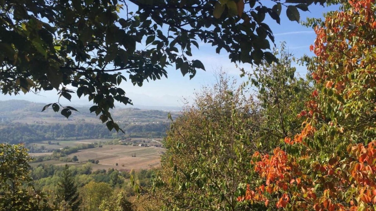 Photo of Others in Ciglie
