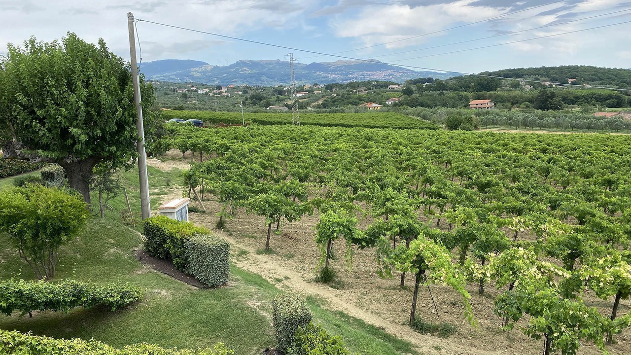 Photo of Outdoor in San Salvatore Telesino