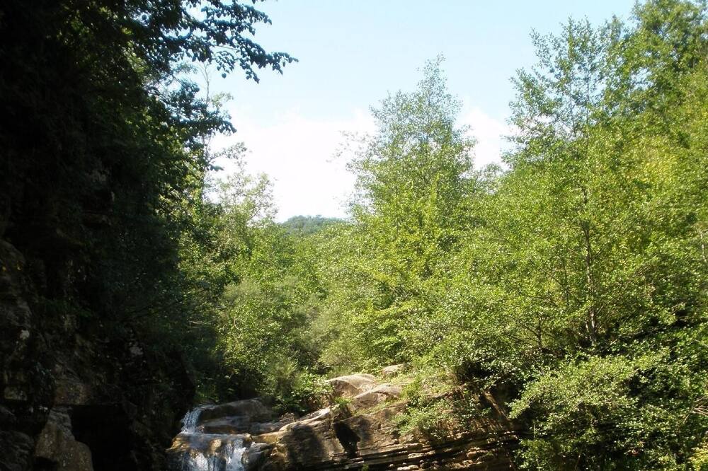 Photo of Outdoor in Rocabruna