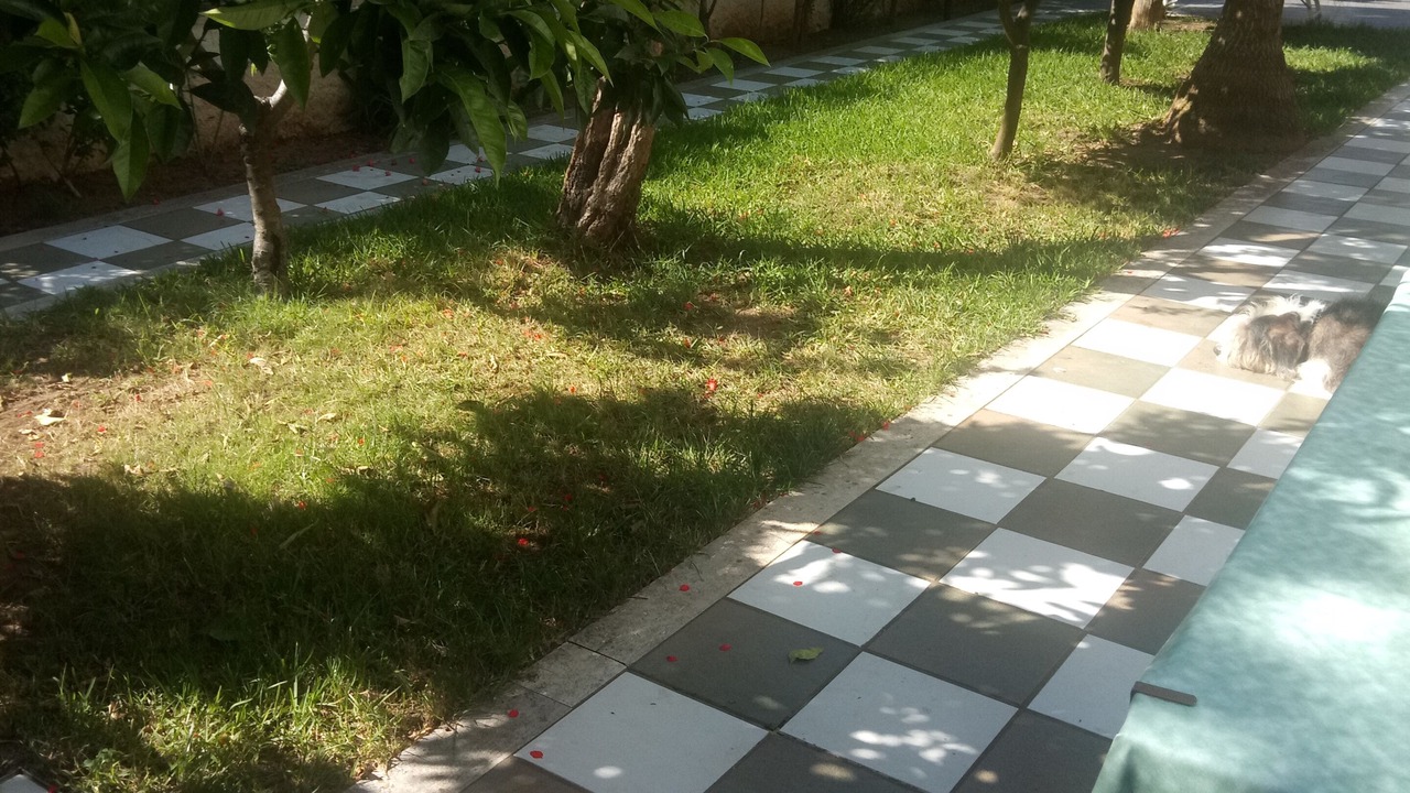 Photo of Outdoor in San Felice Circeo