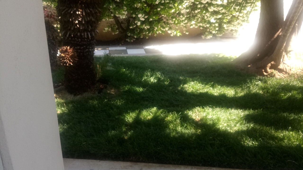 Photo of Outdoor in San Felice Circeo