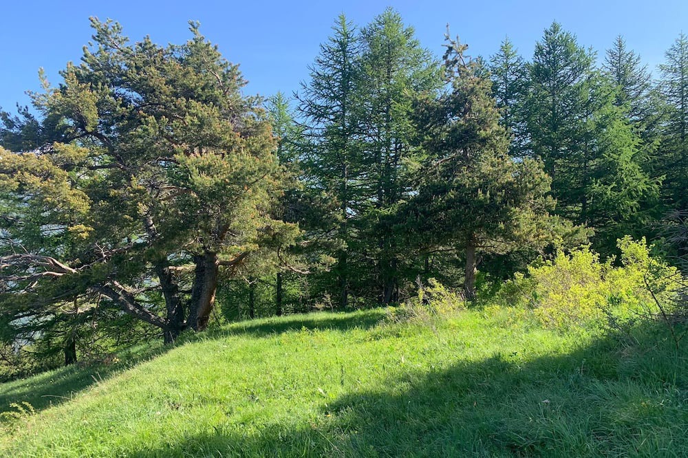 Photo of Outdoor in Oulx