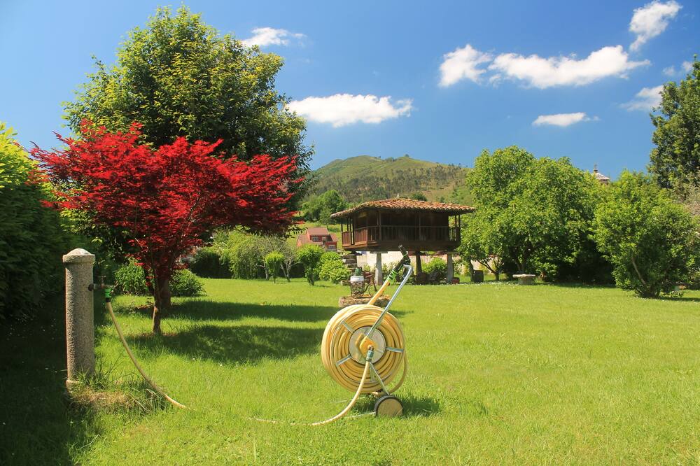 Photo of Outdoor in Cangas de Onis