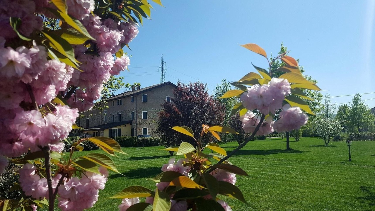 Photo of Outdoor in Scandiano