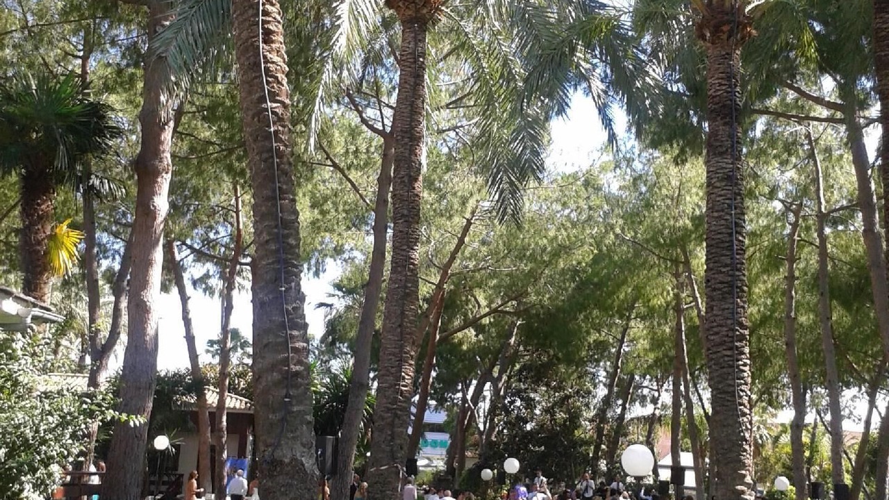 Photo of Outdoor in L'Eliana