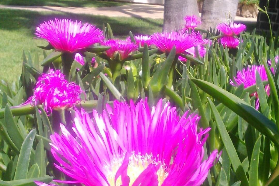 Photo of Outdoor in L'Eliana