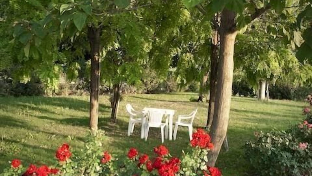 Photo of Outdoor in Scandiano