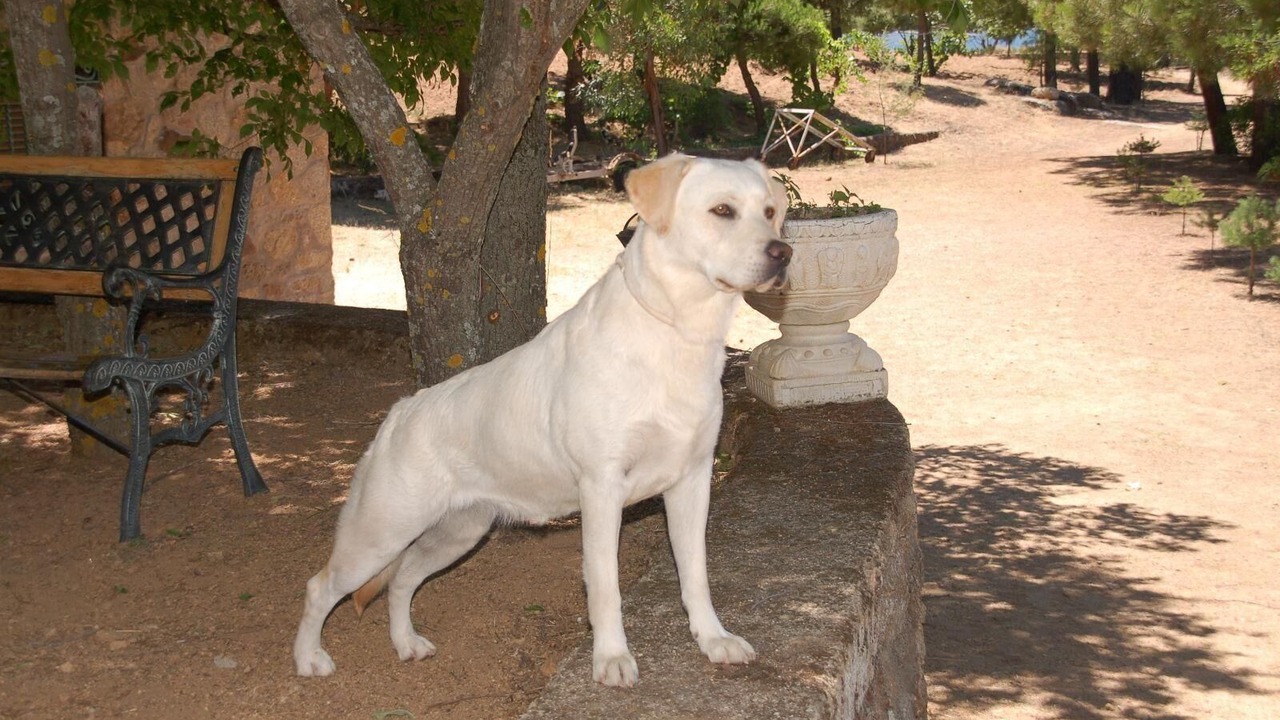 Photo of Outdoor in El Barraco