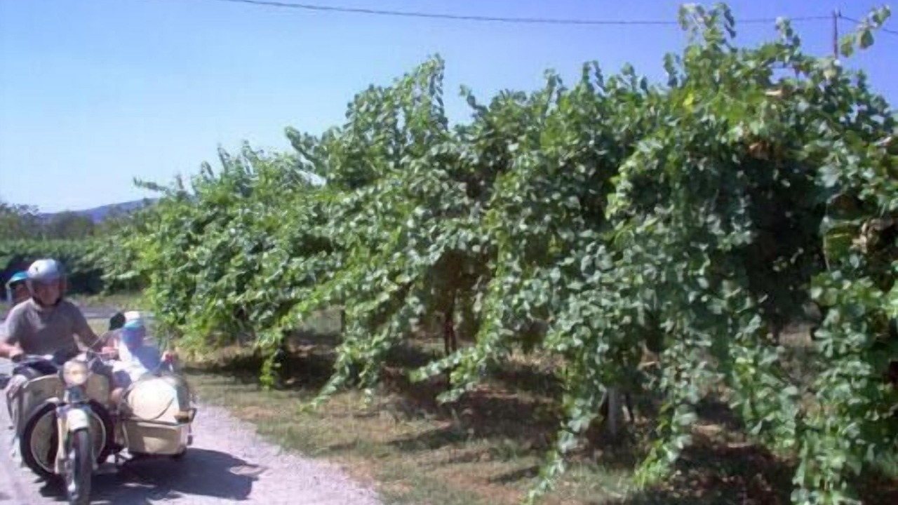 Photo of Outdoor in Scandiano