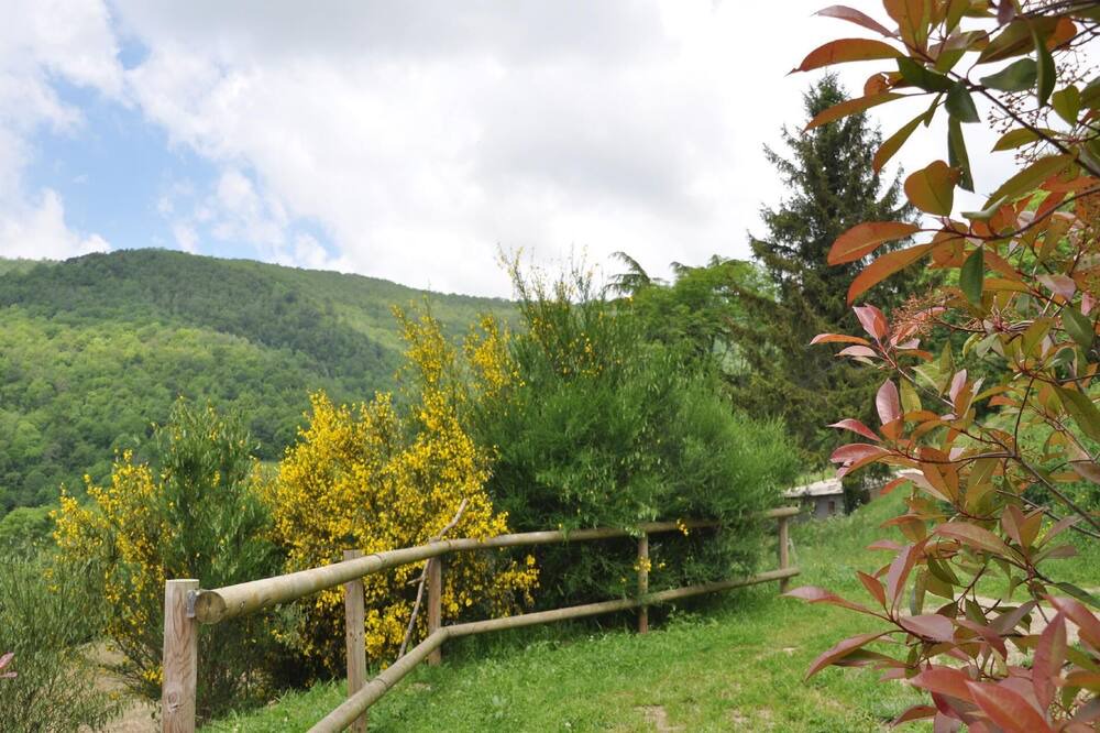 Photo of Outdoor in Rocabruna
