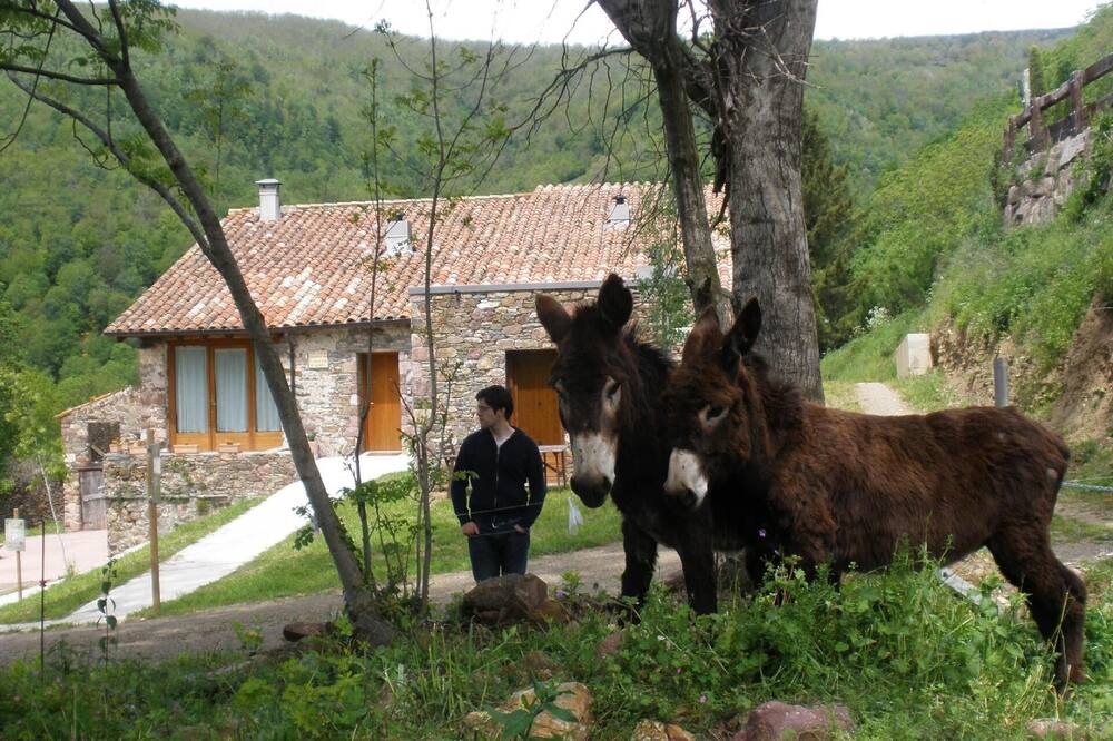Photo of Outdoor in Rocabruna