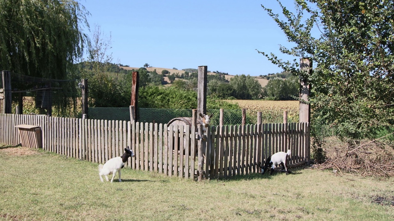 Photo of Others in Todi