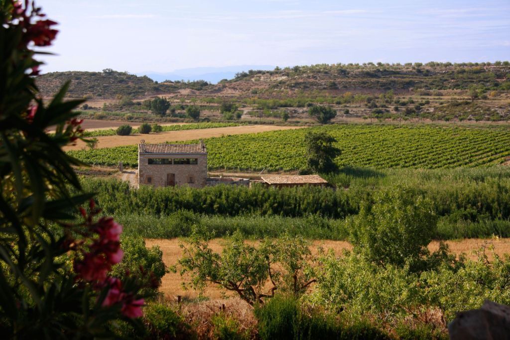 Photo of Outdoor in Sant Marti de Riucorb