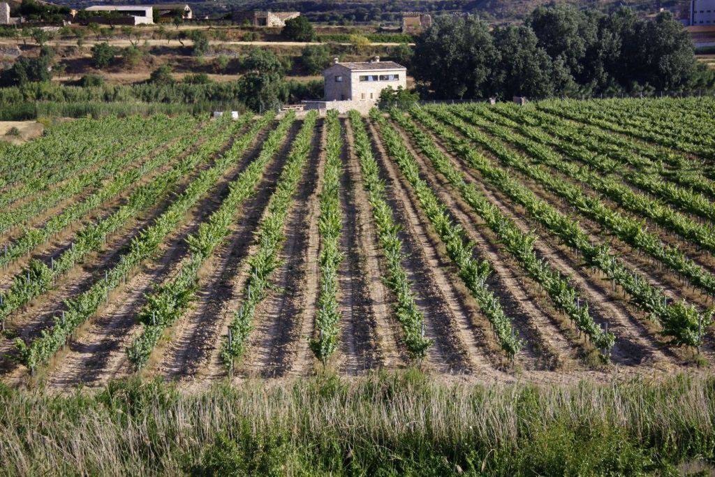 Photo of Outdoor in Sant Marti de Riucorb