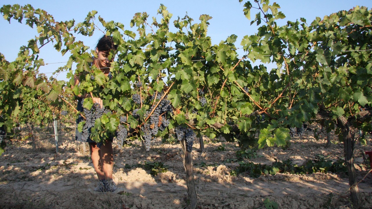 Photo of Outdoor in Sant Marti de Riucorb