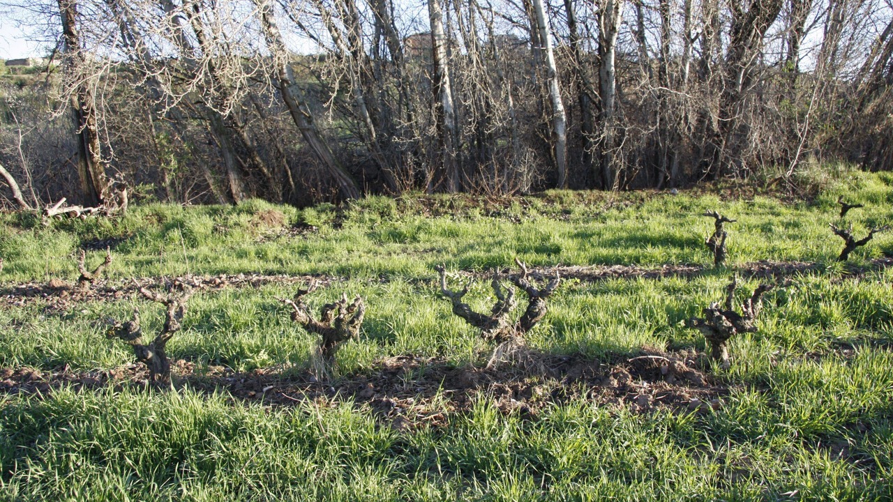 Photo of Outdoor in Sant Marti de Riucorb