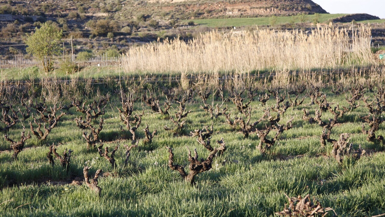 Photo of Outdoor in Sant Marti de Riucorb