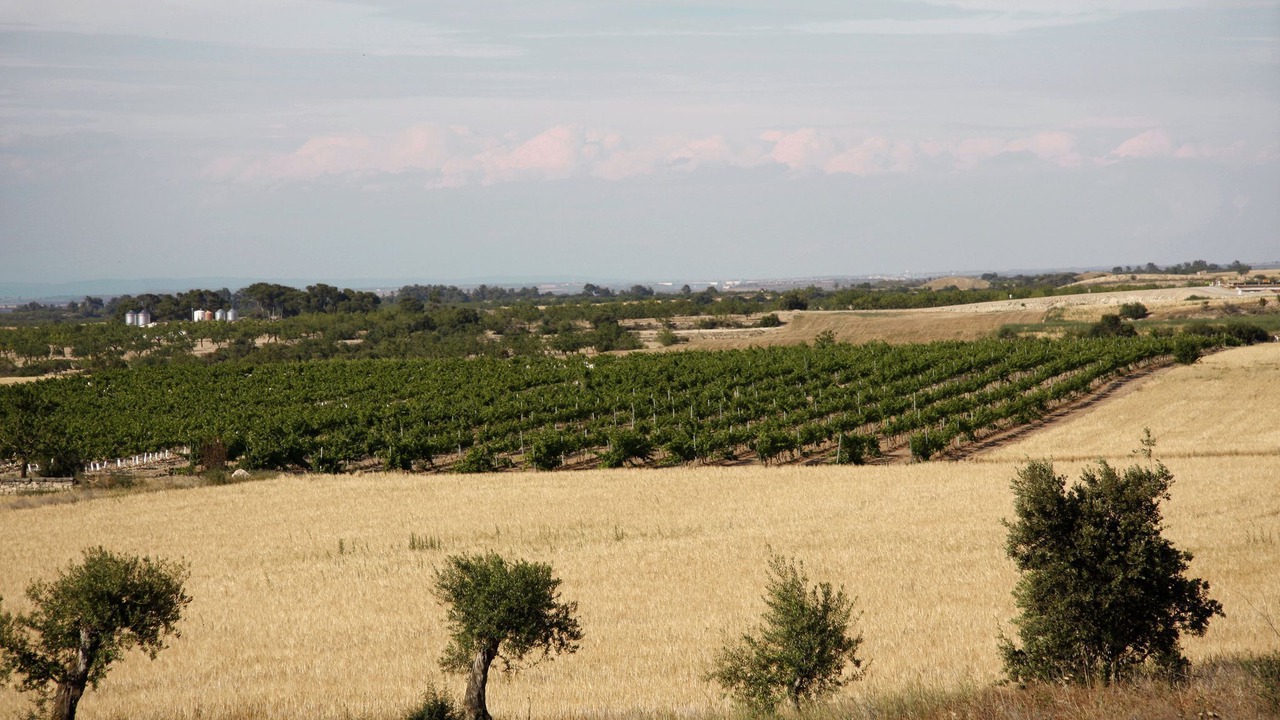 Photo of Others in Sant Marti de Riucorb