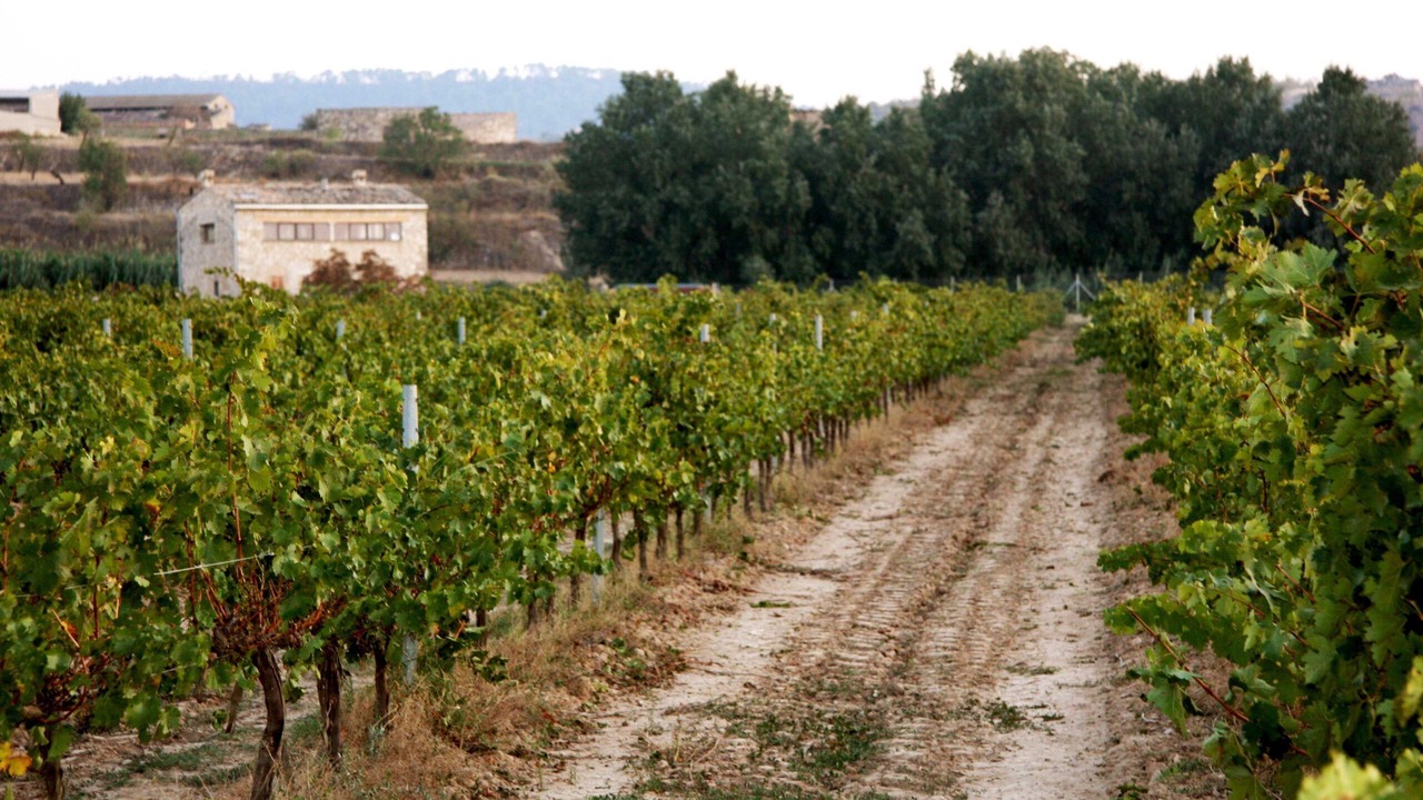 Photo of Outdoor in Sant Marti de Riucorb