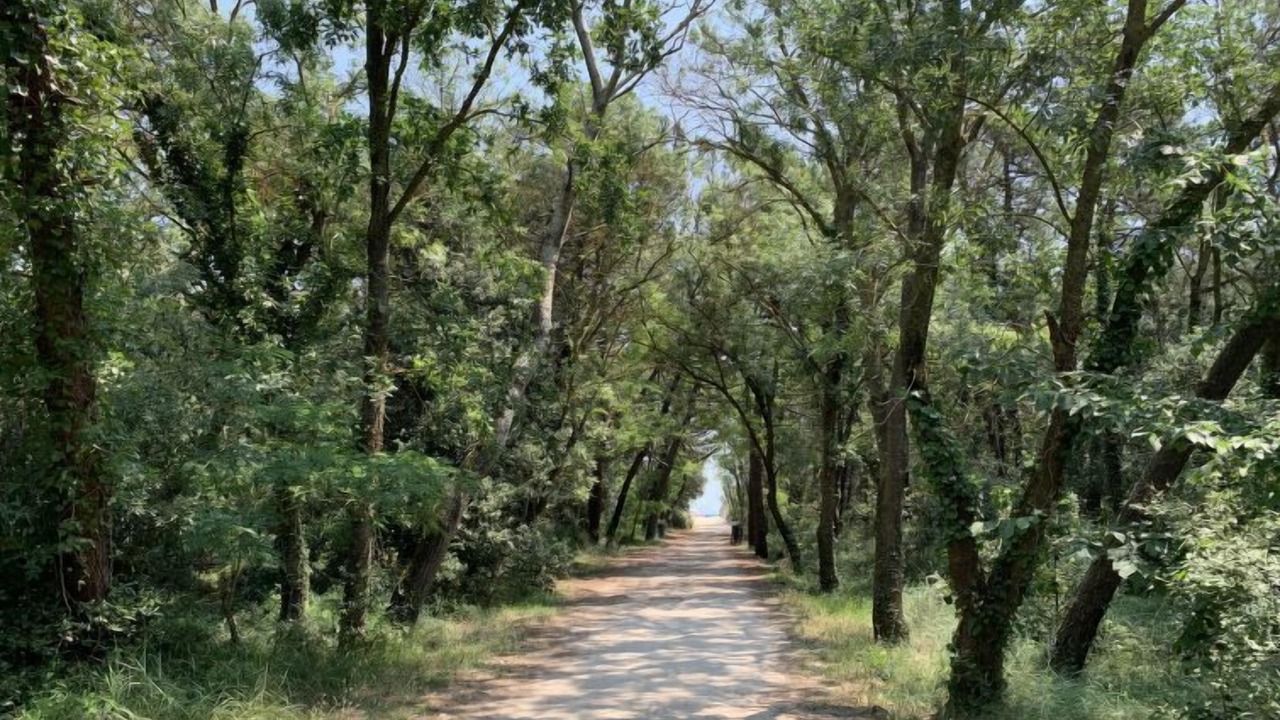 Photo of Outdoor in Casal Borsetti