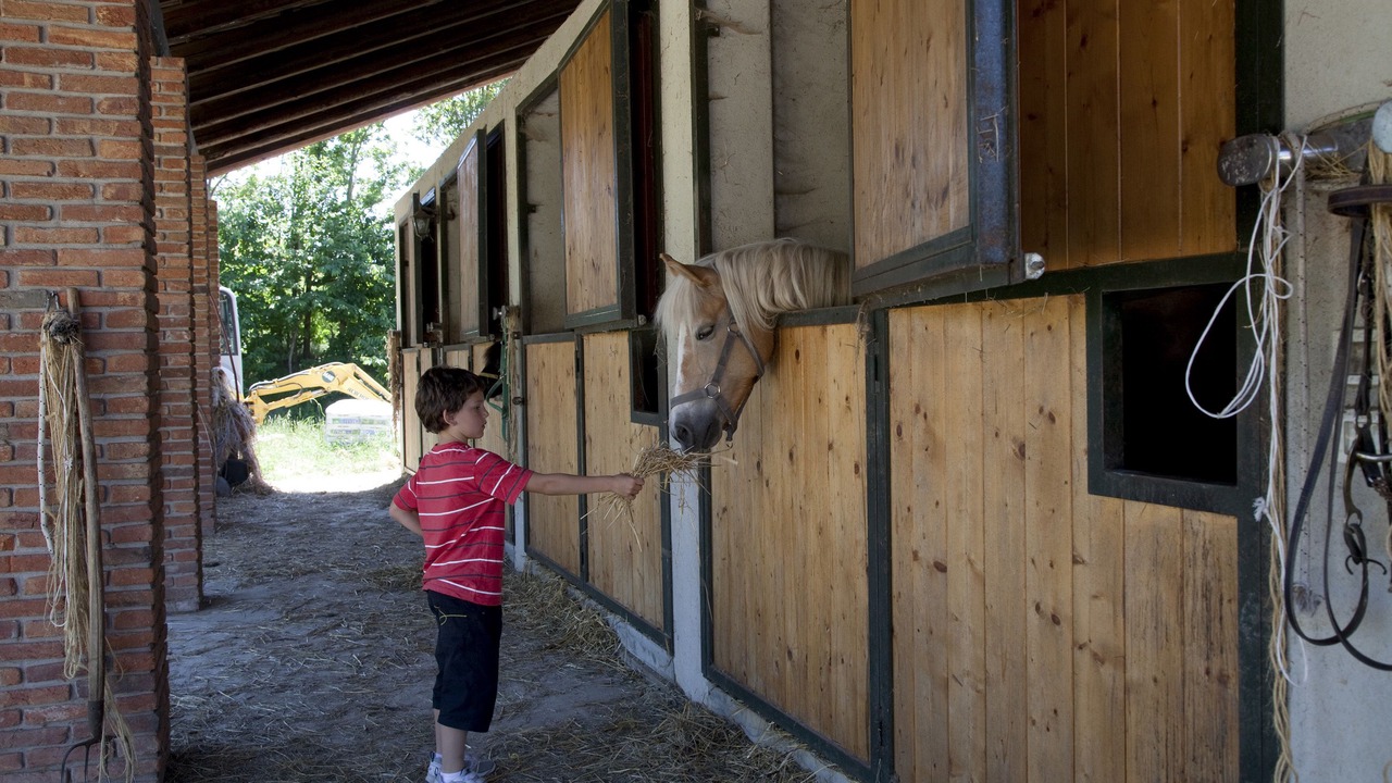 Photo of Others in Cellarengo
