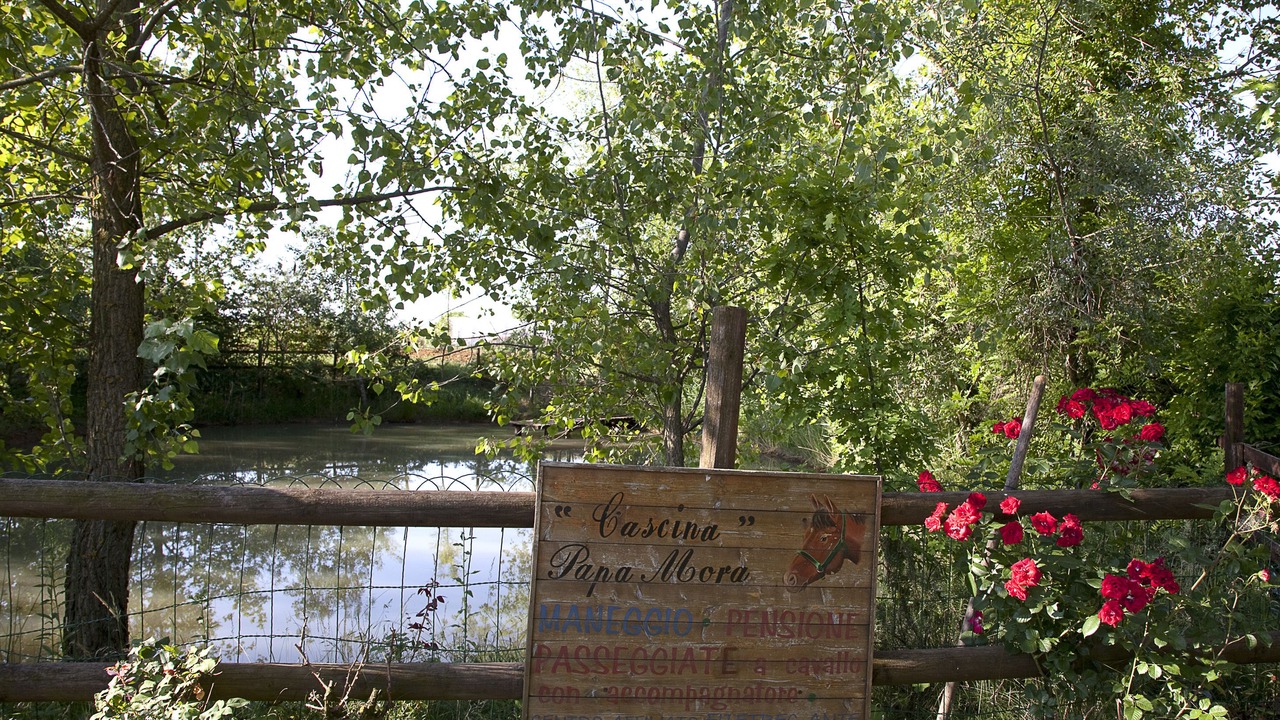 Photo of Outdoor in Cellarengo