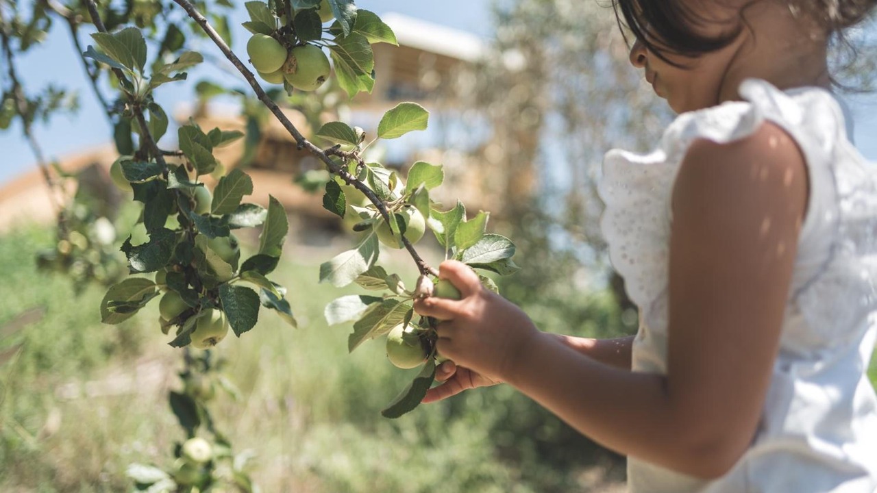 Photo of Outdoor in Narni