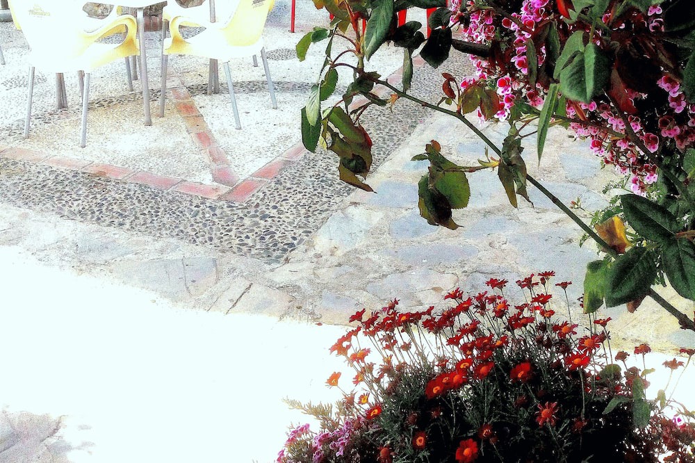 Photo of Outdoor in Pujerra
