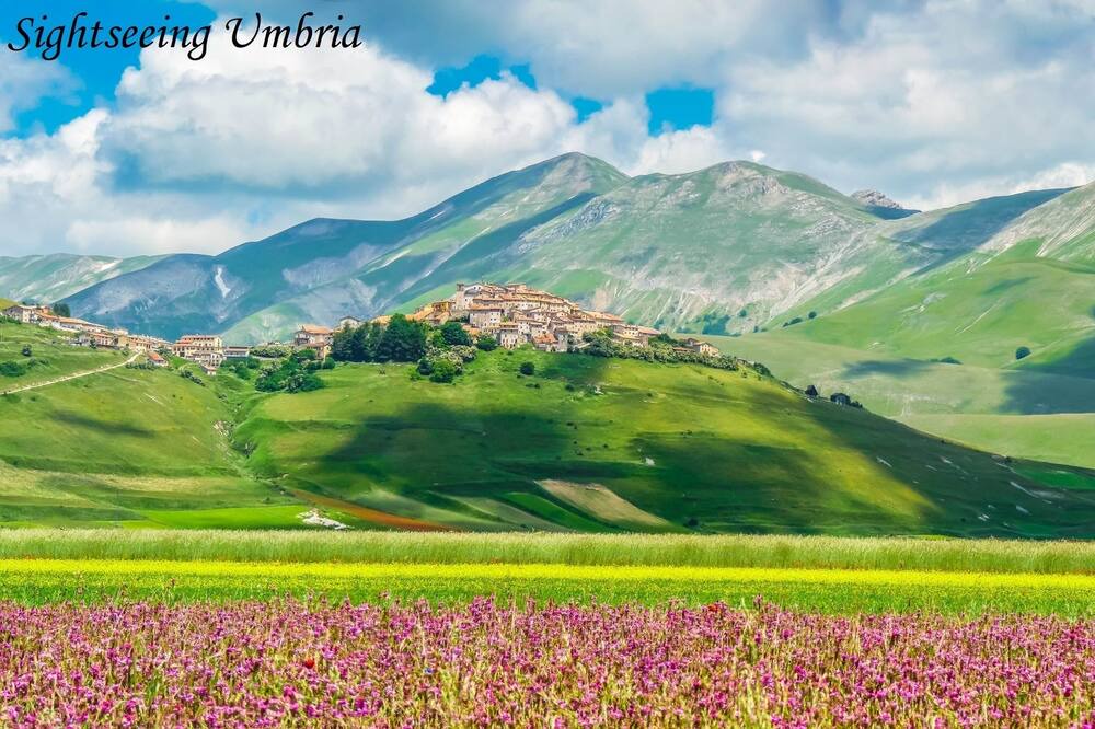Photo of Others in Lidarno