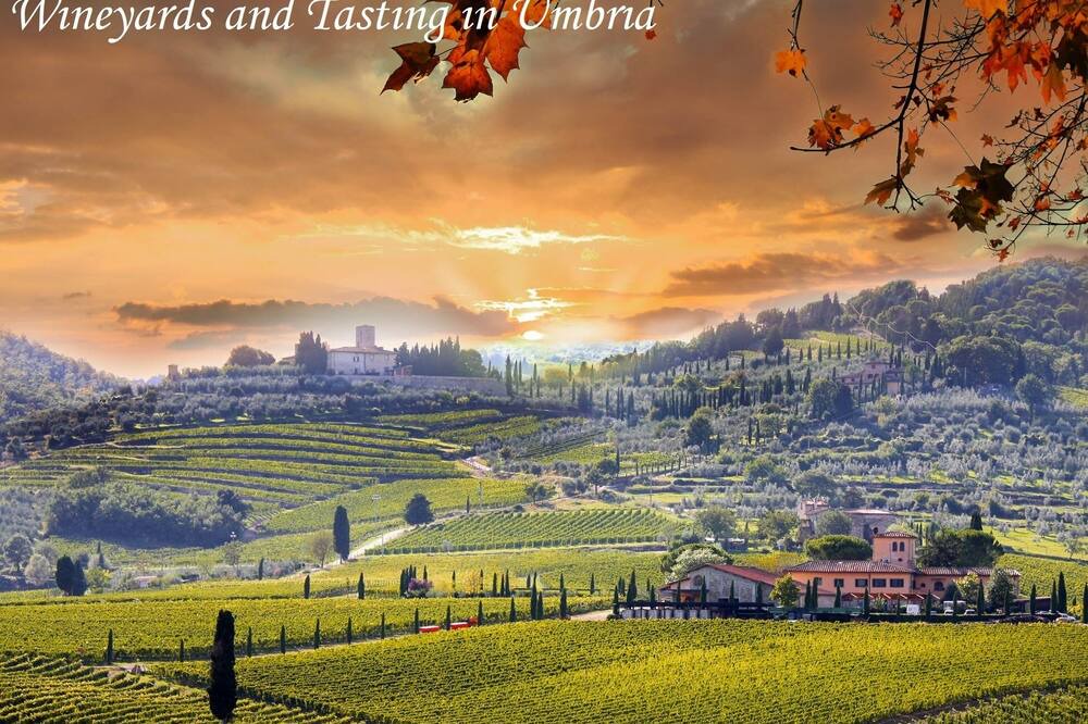Photo of Others in Lidarno
