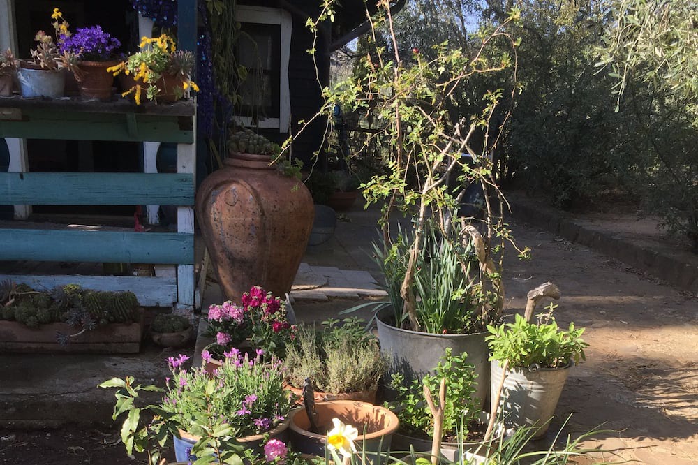 Photo of Outdoor in Castiglione della Pescaia
