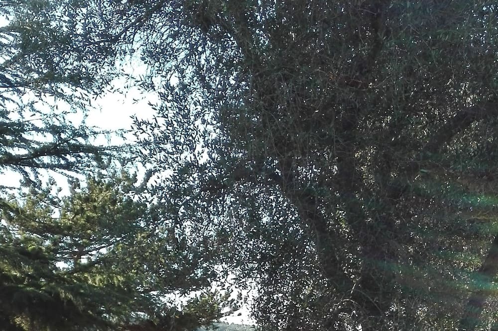 Photo of Outdoor in Giuggianello