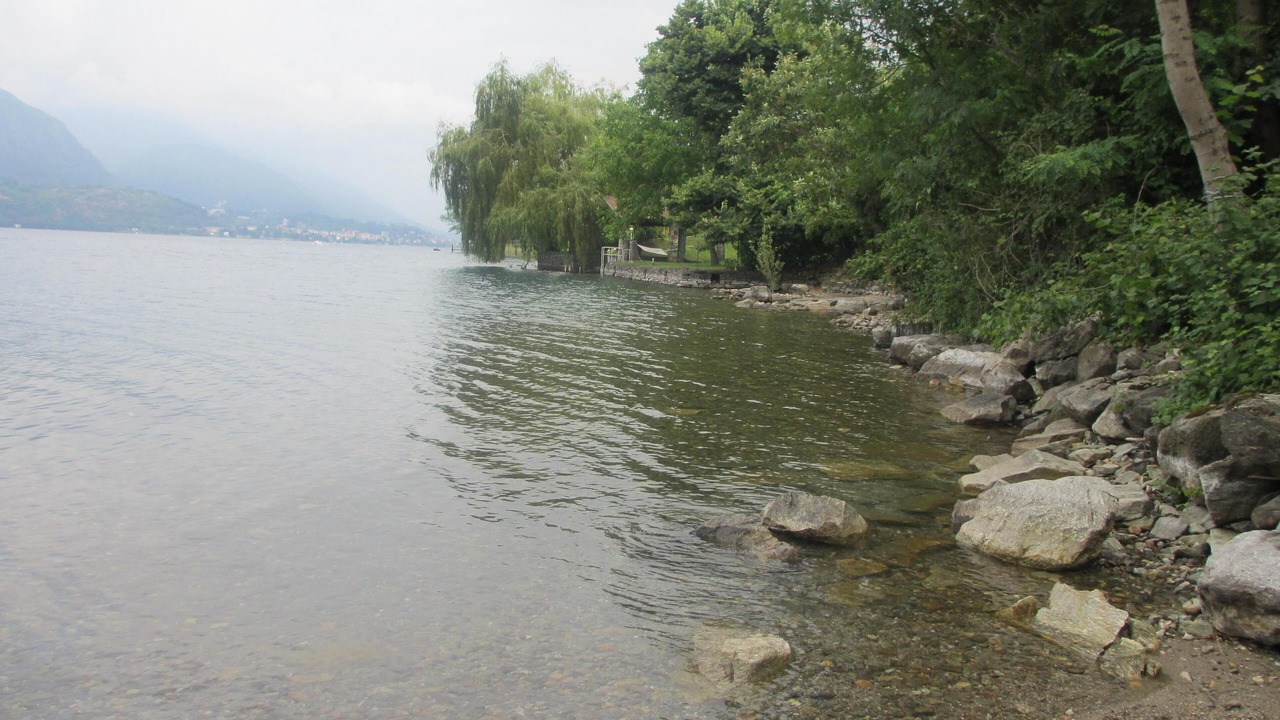 Photo of Others in Crabbia