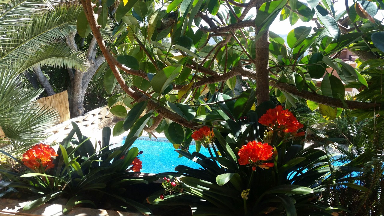 Photo of Outdoor in La Colina