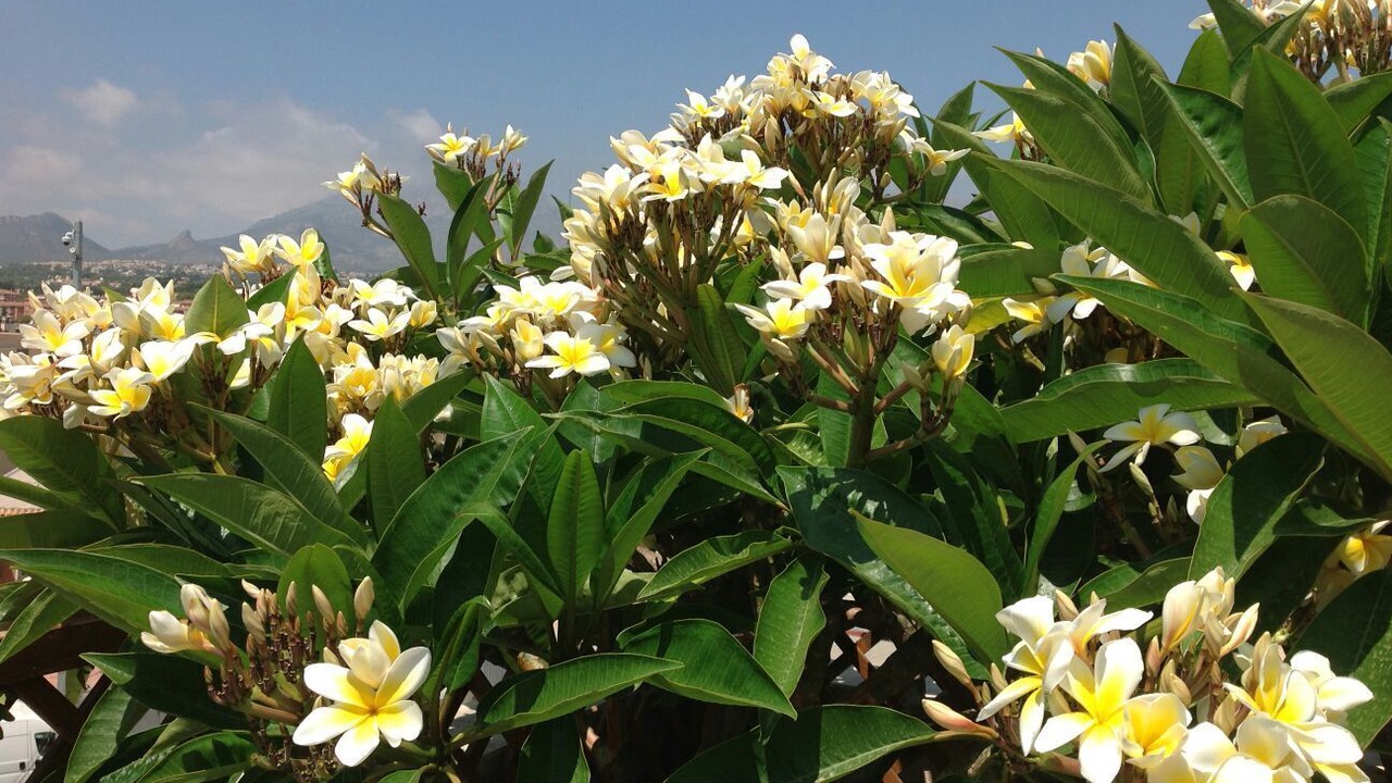 Photo of Outdoor in La Colina
