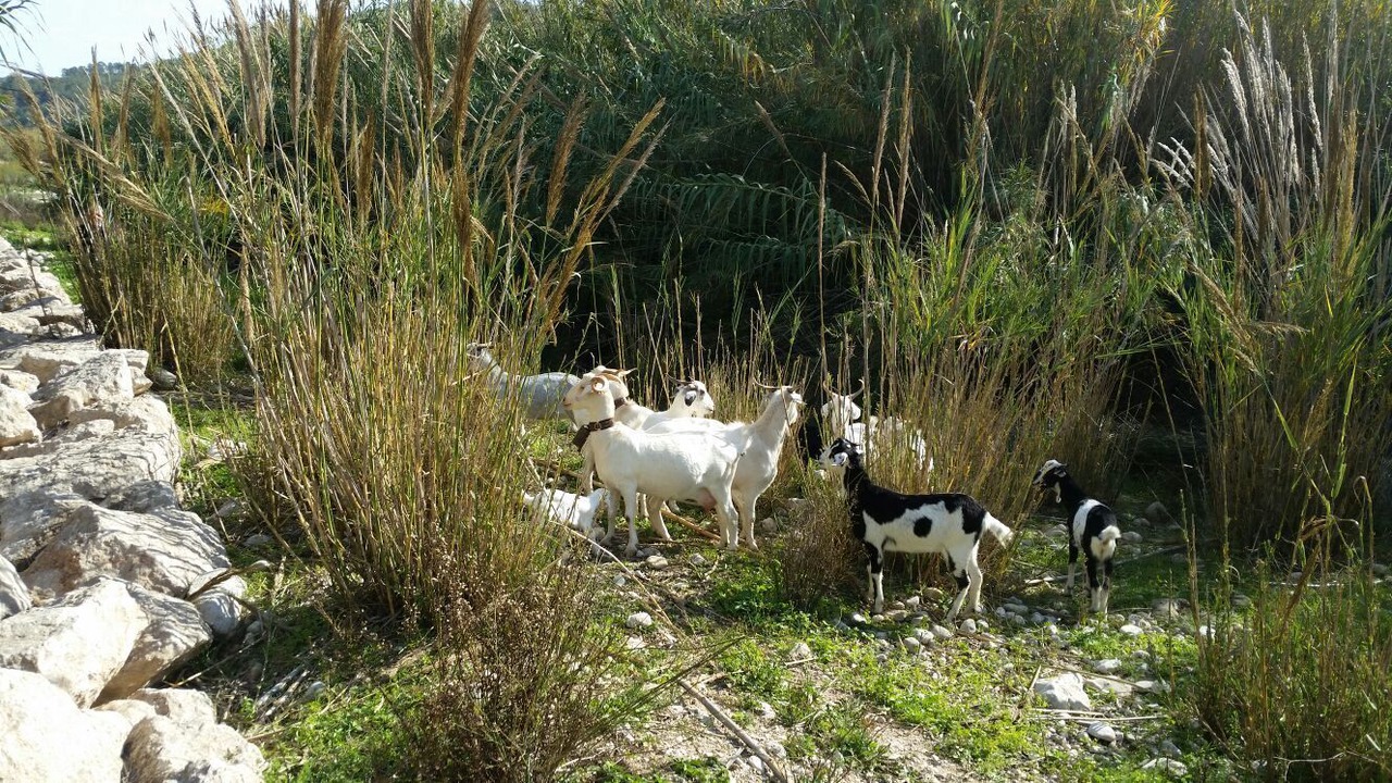 Photo of Outdoor in La Colina