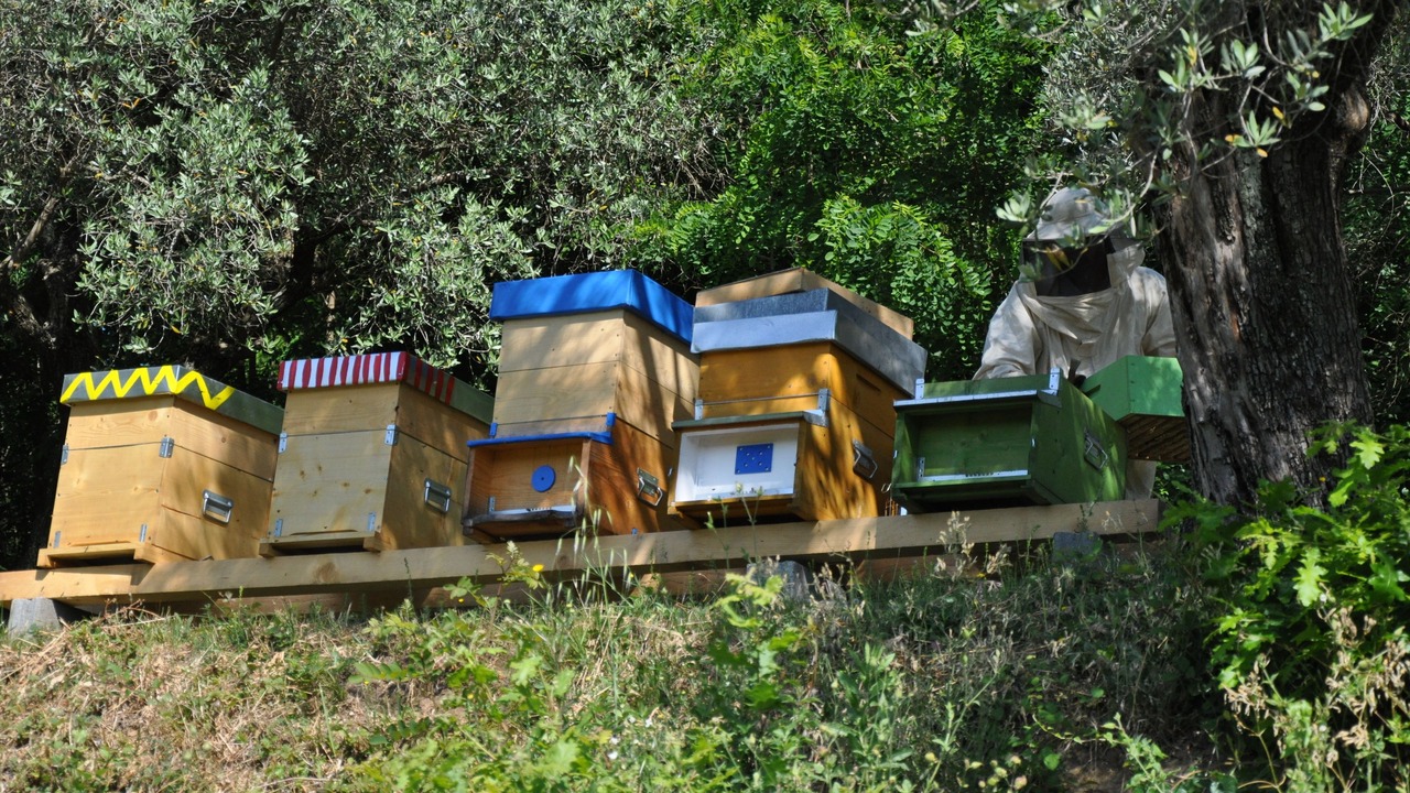 Photo of Outdoor in Gassano