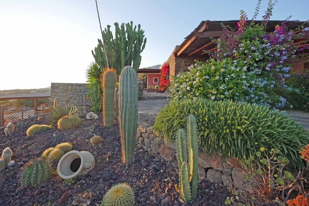 Photo of Outdoor in Scauri I