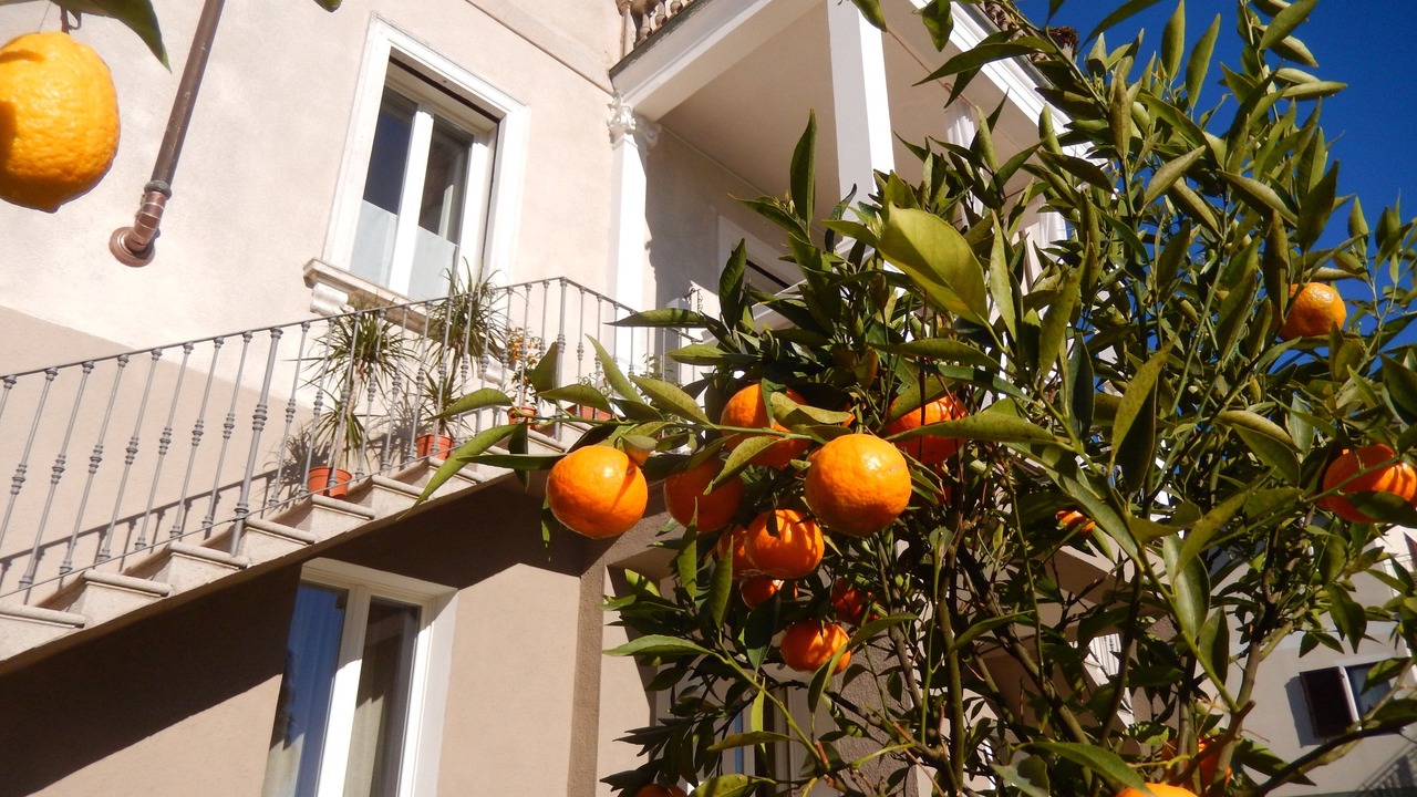 Photo of Outdoor in Dagnente