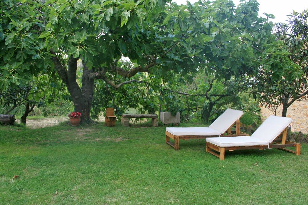 Photo of Outdoor in Madremanya