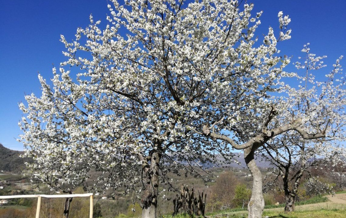 Photo of Outdoor in Mormanno