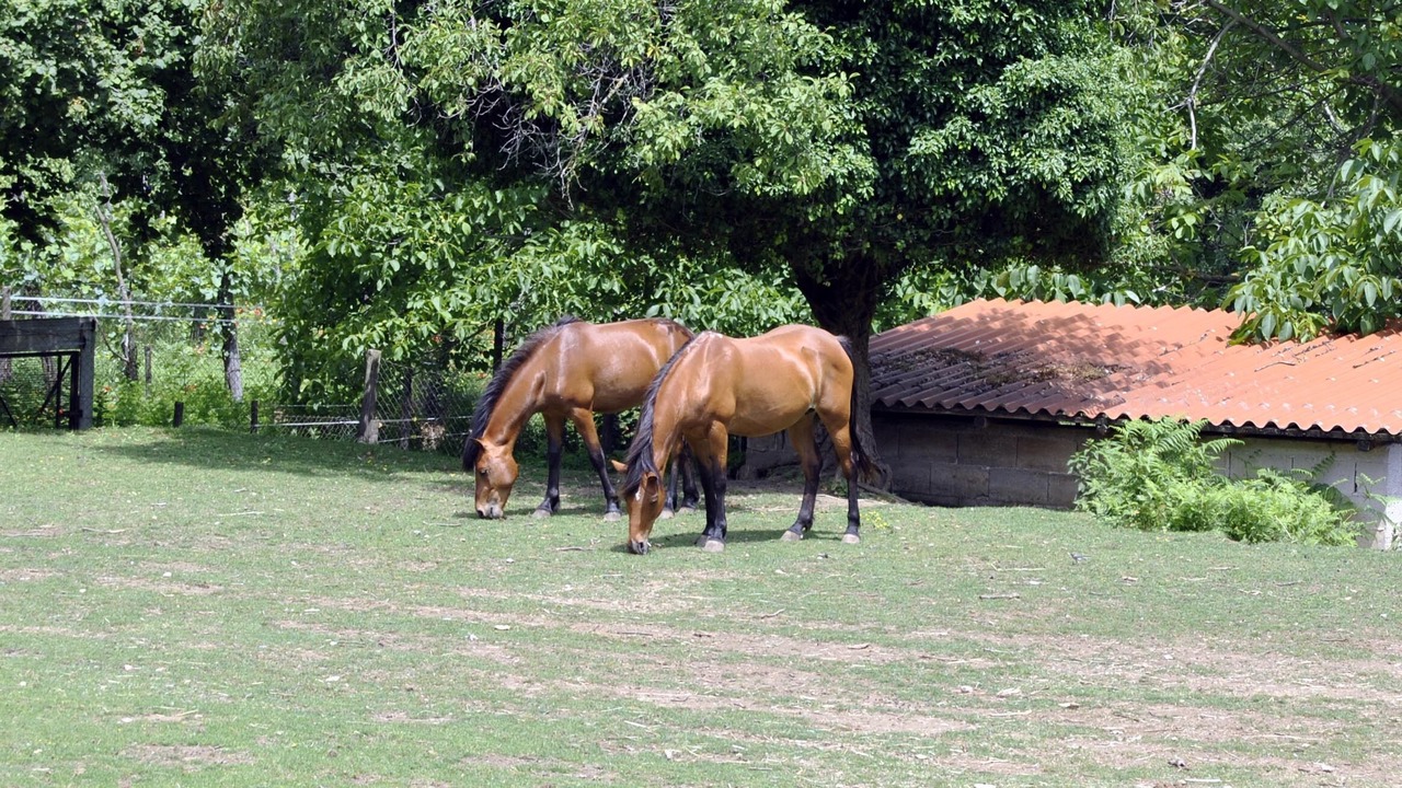 Photo of Others in Coperchia