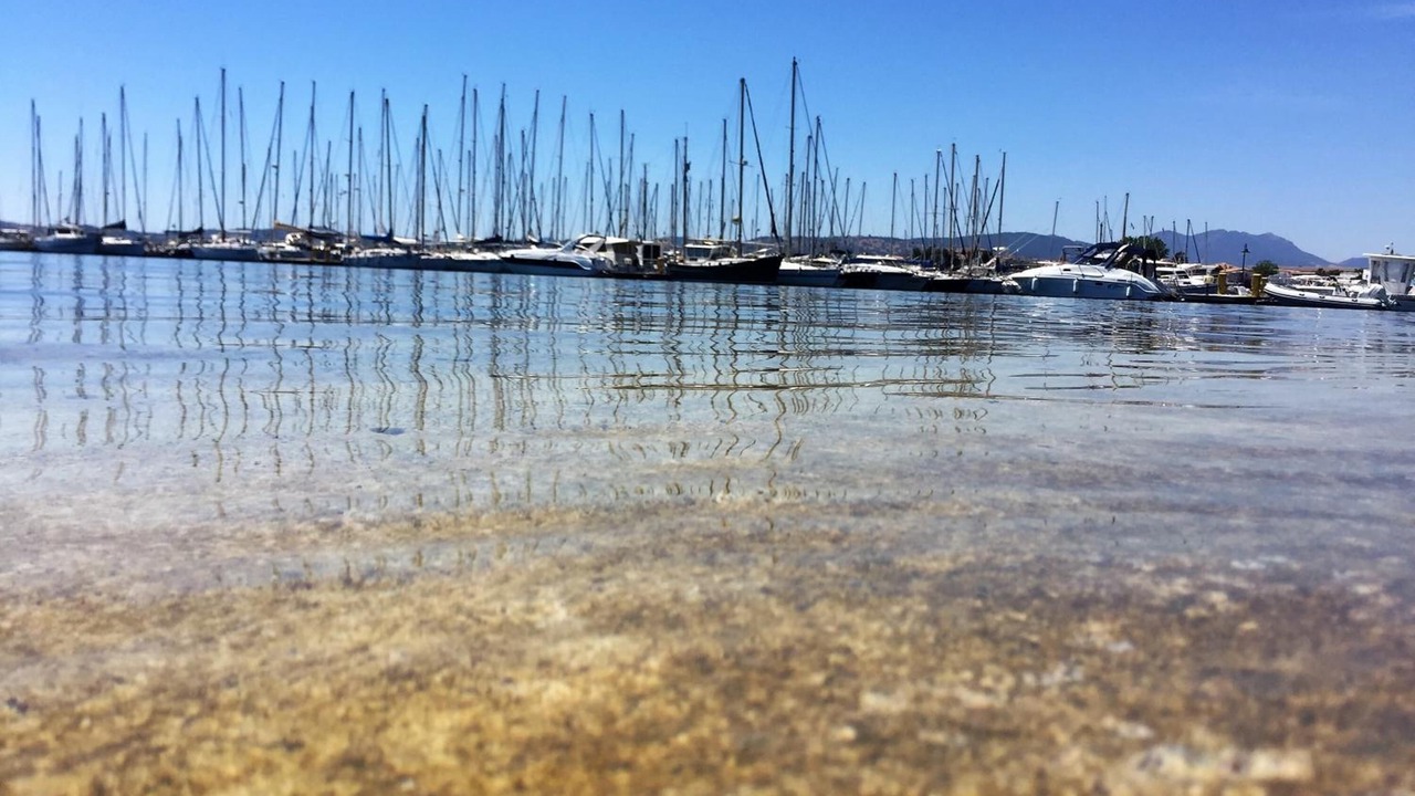 Photo of Others in La Caletta
