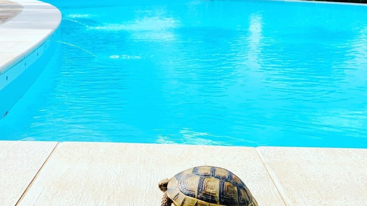 Photo of Outdoor in Olbia