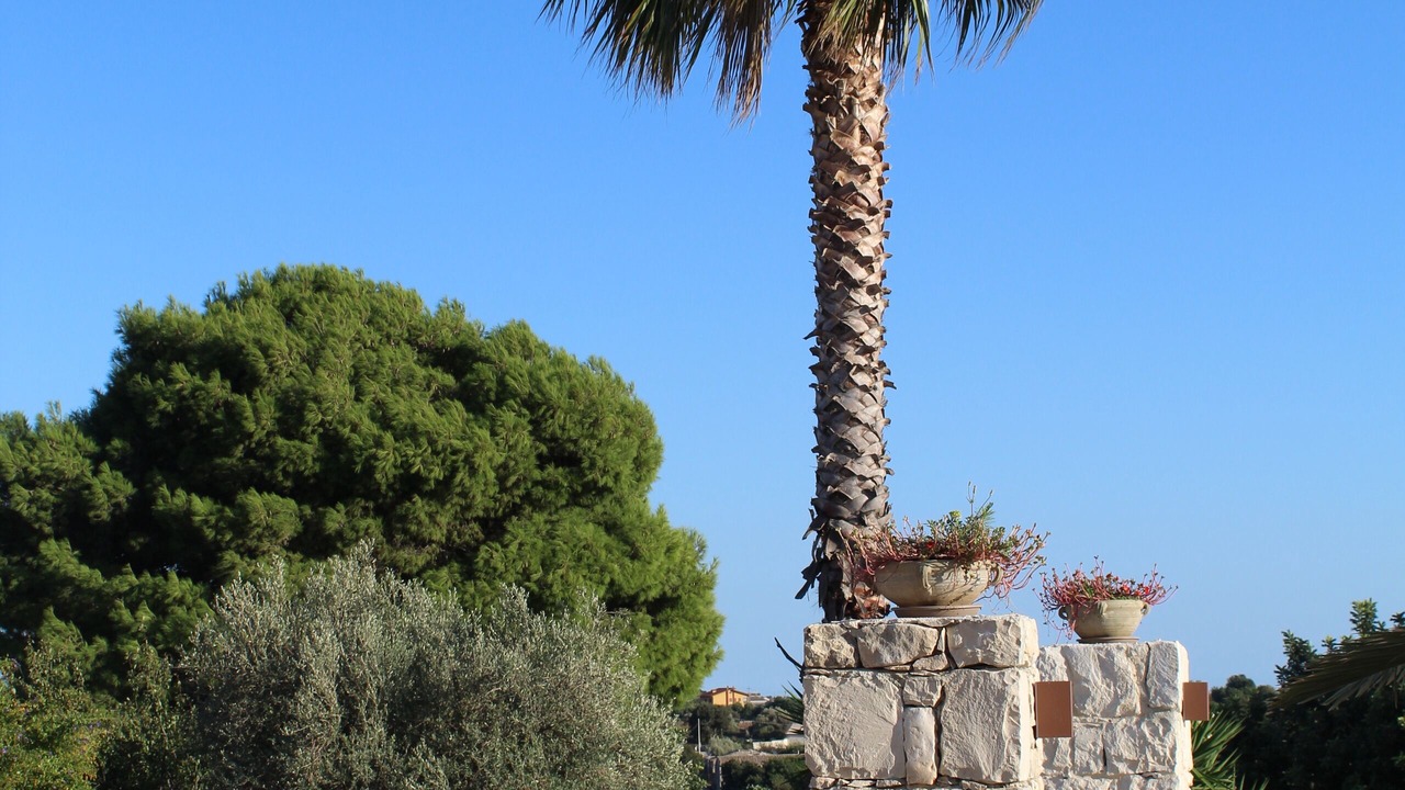 Photo of Outdoor in Modica