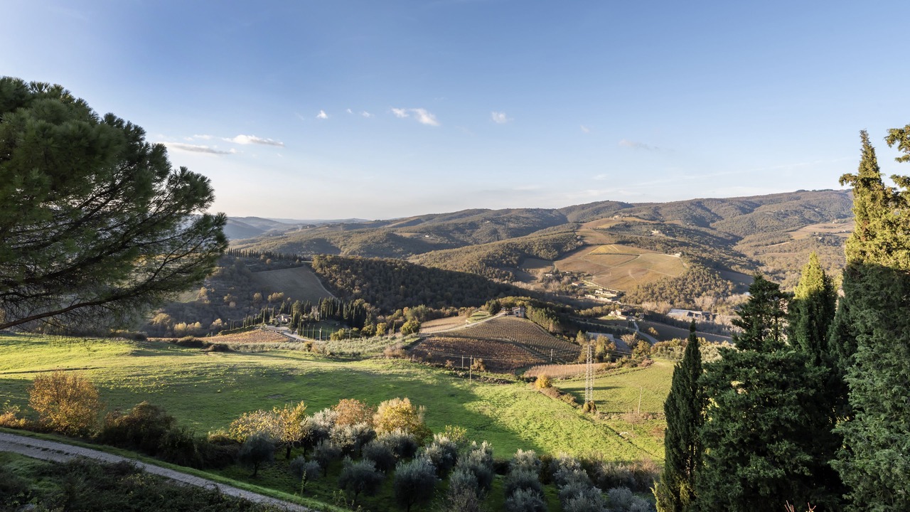 Photo of Bedroom in Radda in Chianti