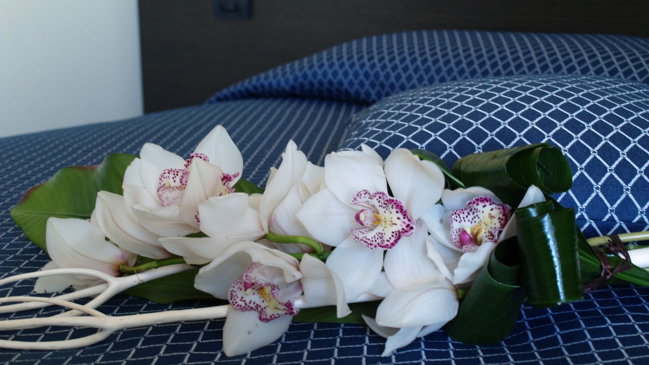 Photo of Bedroom in Dronero