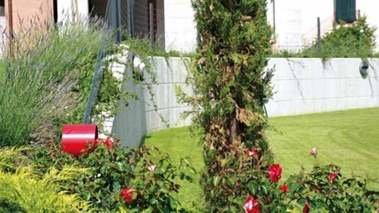 Photo of Outdoor in Campobasso